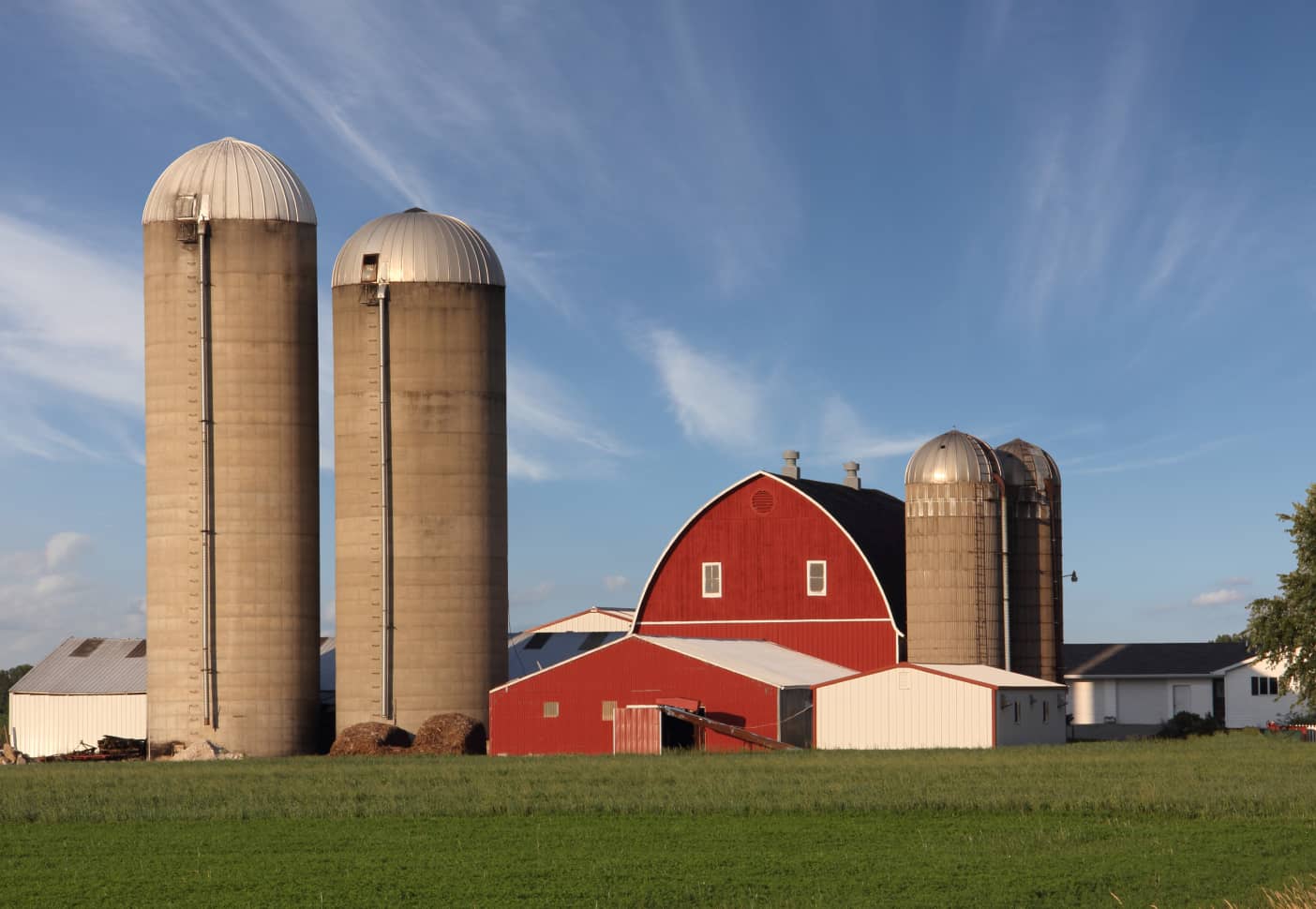 Farm with multiple silos